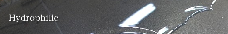 Hydrophilic